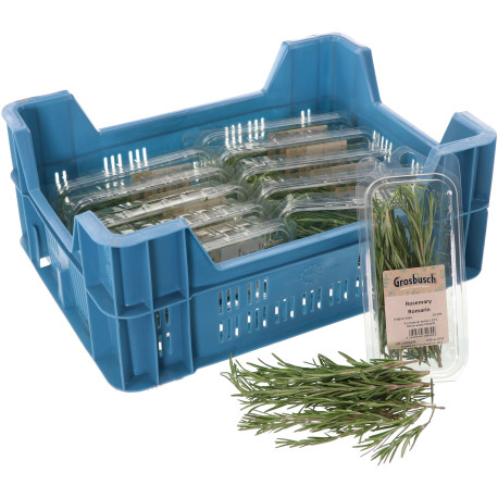 ROMARIN GROSBUSCH 12X20G